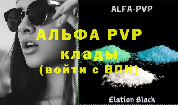 амф Осташков