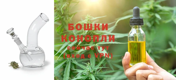 амф Осташков