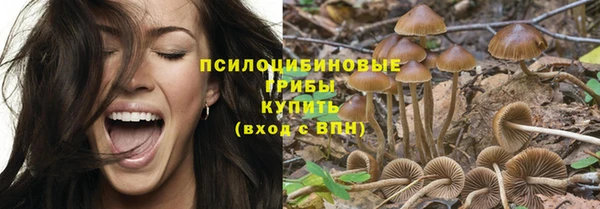 амф Осташков